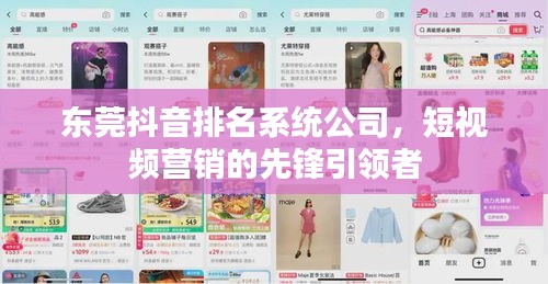 东莞抖音排名系统公司，短视频营销的先锋引领者