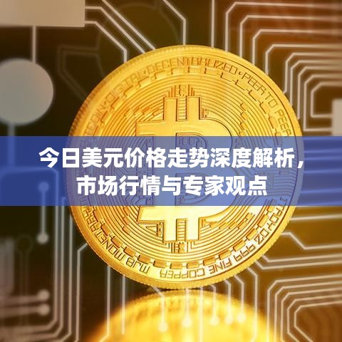 今日美元价格走势深度解析，市场行情与专家观点