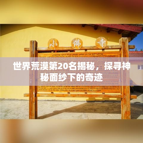 世界荒漠第20名揭秘，探寻神秘面纱下的奇迹