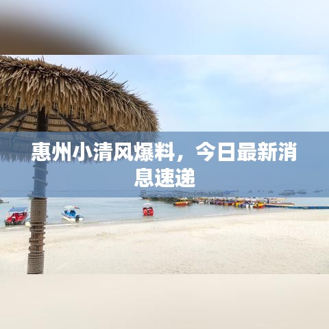 关于我们 第15页