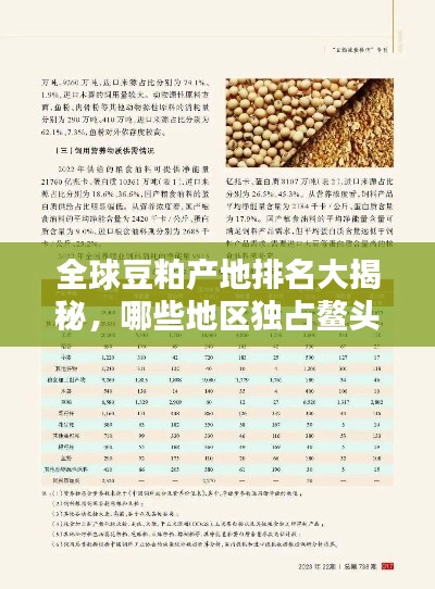 全球豆粕产地排名大揭秘，哪些地区独占鳌头？