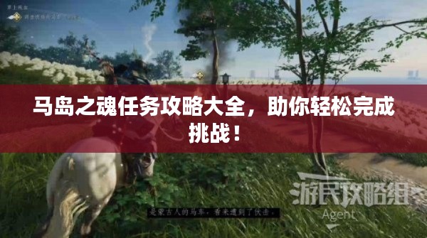 马岛之魂任务攻略大全，助你轻松完成挑战！