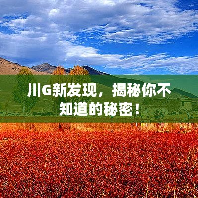 资料下载 第15页