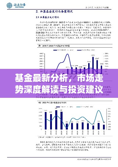 基金最新分析，市场走势深度解读与投资建议探索