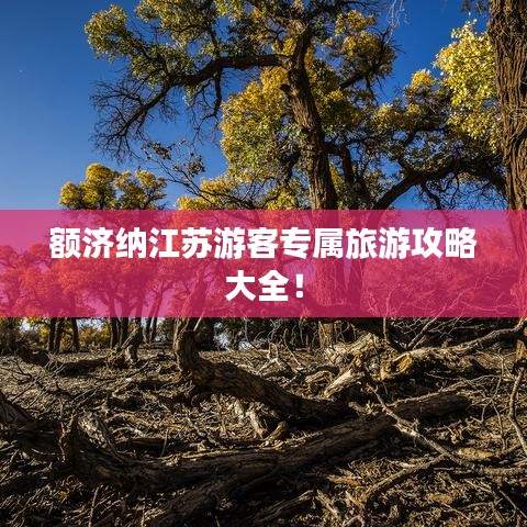 额济纳江苏游客专属旅游攻略大全！