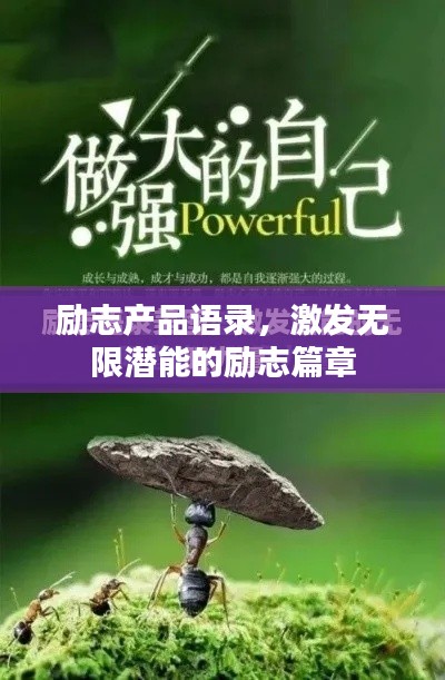 励志产品语录，激发无限潜能的励志篇章