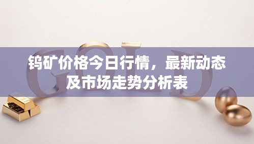 钨矿价格今日行情，最新动态及市场走势分析表