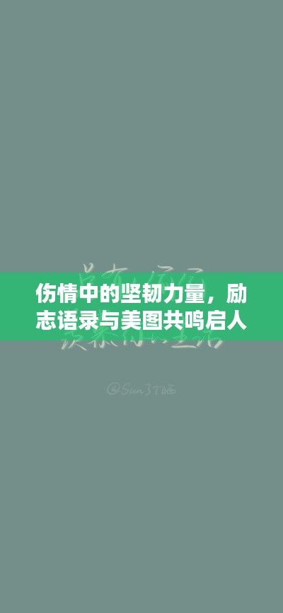 伤情中的坚韧力量，励志语录与美图共鸣启人心灵之门