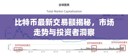 比特币最新交易额揭秘，市场走势与投资者洞察
