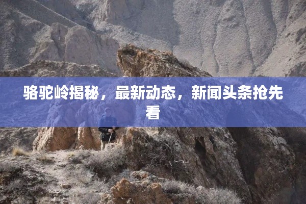骆驼岭揭秘，最新动态，新闻头条抢先看