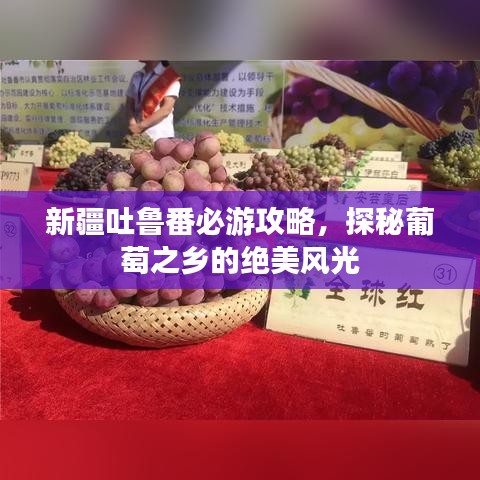 关于我们 第13页