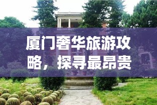 厦门奢华旅游攻略，探寻最昂贵的独特体验
