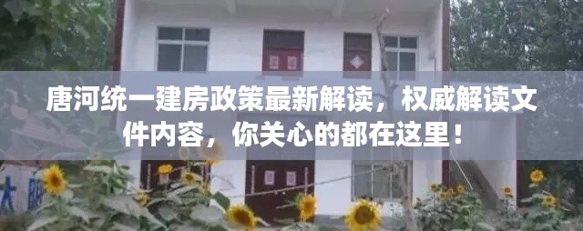 唐河统一建房政策最新解读，权威解读文件内容，你关心的都在这里！