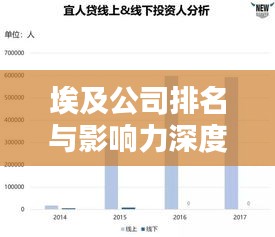 埃及公司排名与影响力深度解析