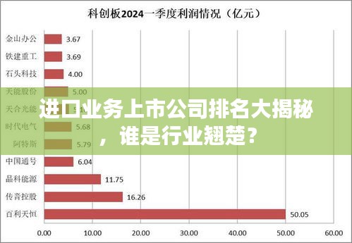 进口业务上市公司排名大揭秘，谁是行业翘楚？