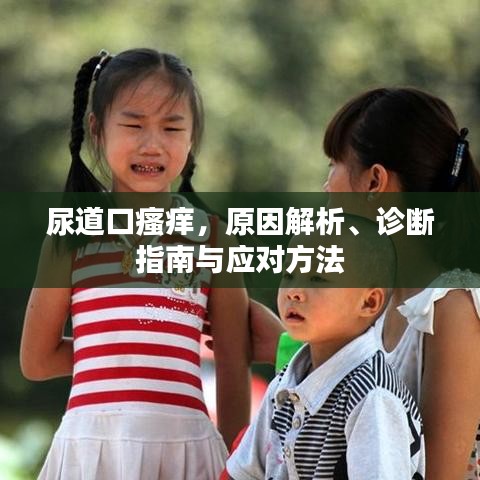 尿道口瘙痒，原因解析、诊断指南与应对方法