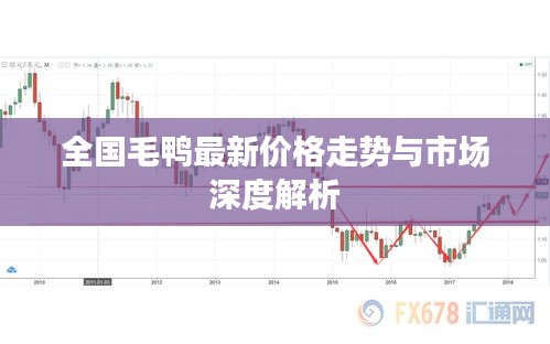 全国毛鸭最新价格走势与市场深度解析