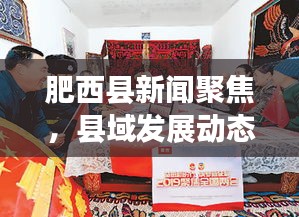 肥西县新闻聚焦，县域发展动态与民生热点热议