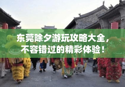 东莞除夕游玩攻略大全，不容错过的精彩体验！