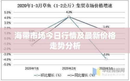 海带市场今日行情及最新价格走势分析