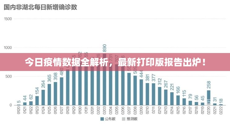 今日疫情数据全解析，最新打印版报告出炉！