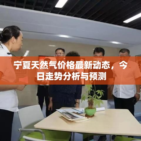 宁夏天然气价格最新动态，今日走势分析与预测