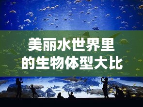 美丽水世界里的生物体型大比拼