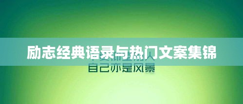 励志经典语录与热门文案集锦