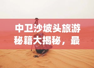 建站服务 第13页