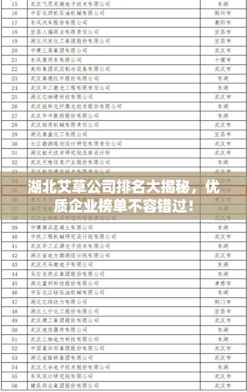 网站案例 第12页