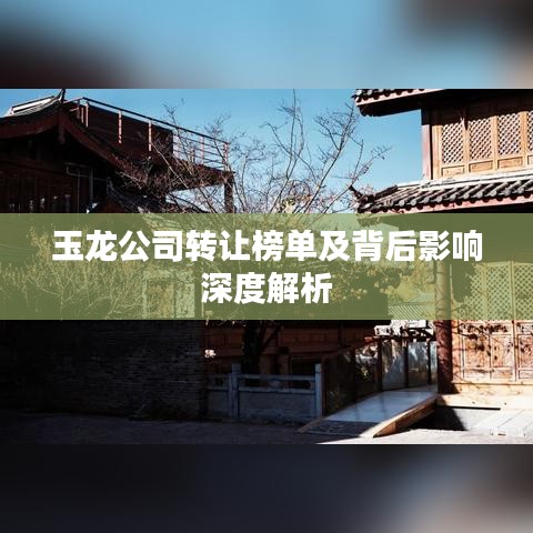 玉龙公司转让榜单及背后影响深度解析