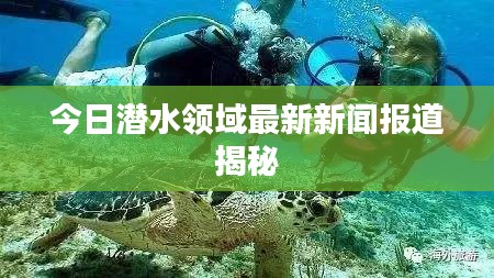 今日潜水领域最新新闻报道揭秘