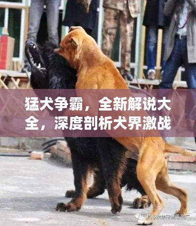钝学累功