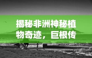 揭秘非洲神秘植物奇迹，巨根传奇之旅