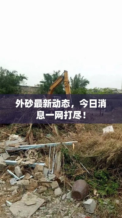 外砂最新动态，今日消息一网打尽！
