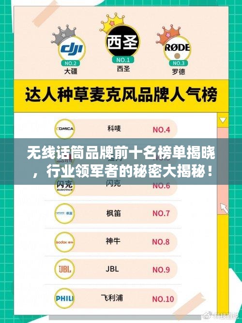 无线话筒品牌前十名榜单揭晓，行业领军者的秘密大揭秘！