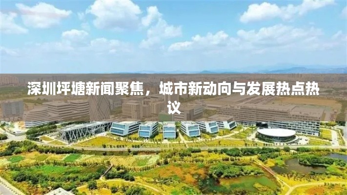 深圳坪塘新闻聚焦，城市新动向与发展热点热议