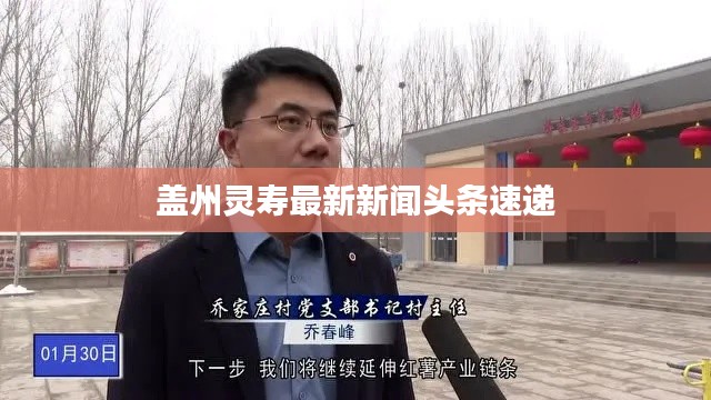 盖州灵寿最新新闻头条速递