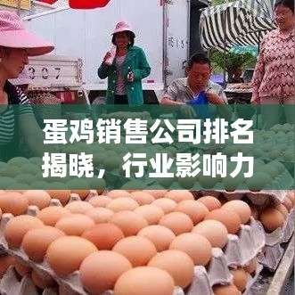 蛋鸡销售公司排名揭晓，行业影响力榜单及巨头解析