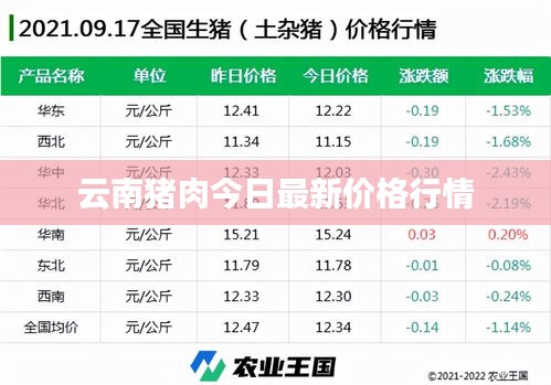 云南猪肉今日最新价格行情