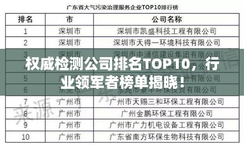 权威检测公司排名TOP10，行业领军者榜单揭晓！