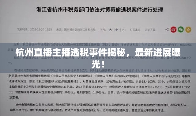 杭州直播主播逃税事件揭秘，最新进展曝光！
