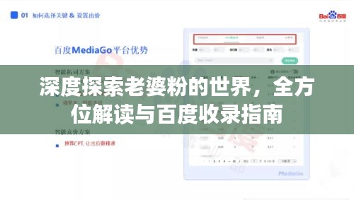 深度探索老婆粉的世界，全方位解读与百度收录指南