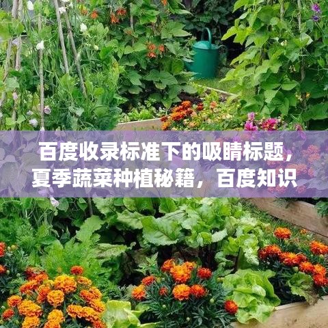 百度收录标准下的吸睛标题，夏季蔬菜种植秘籍，百度知识助你轻松掌握高效种植技巧！
