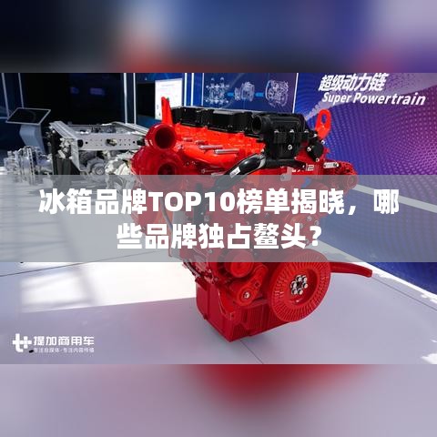 冰箱品牌TOP10榜单揭晓，哪些品牌独占鳌头？