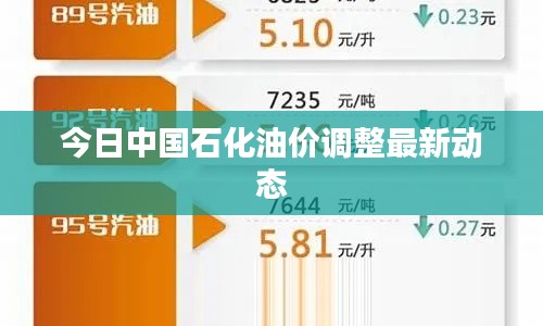 今日中国石化油价调整最新动态