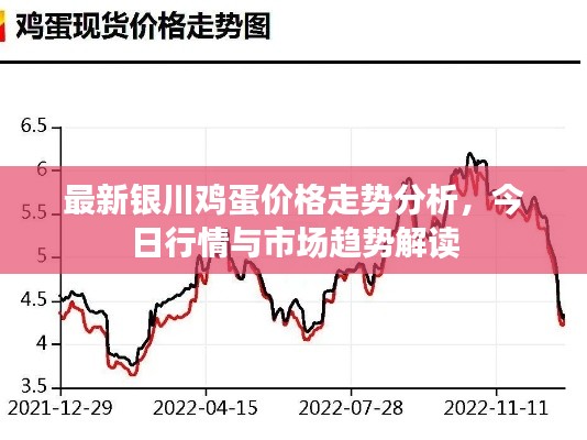 最新银川鸡蛋价格走势分析，今日行情与市场趋势解读