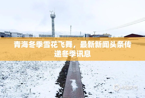 青海冬季雪花飞舞，最新新闻头条传递冬季讯息