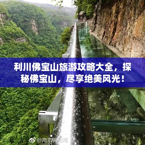生离死别