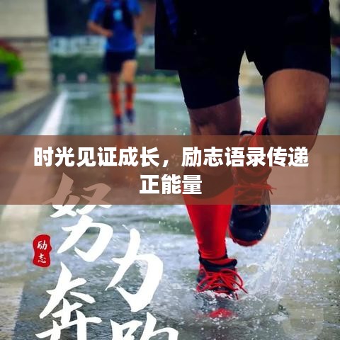时光见证成长，励志语录传递正能量